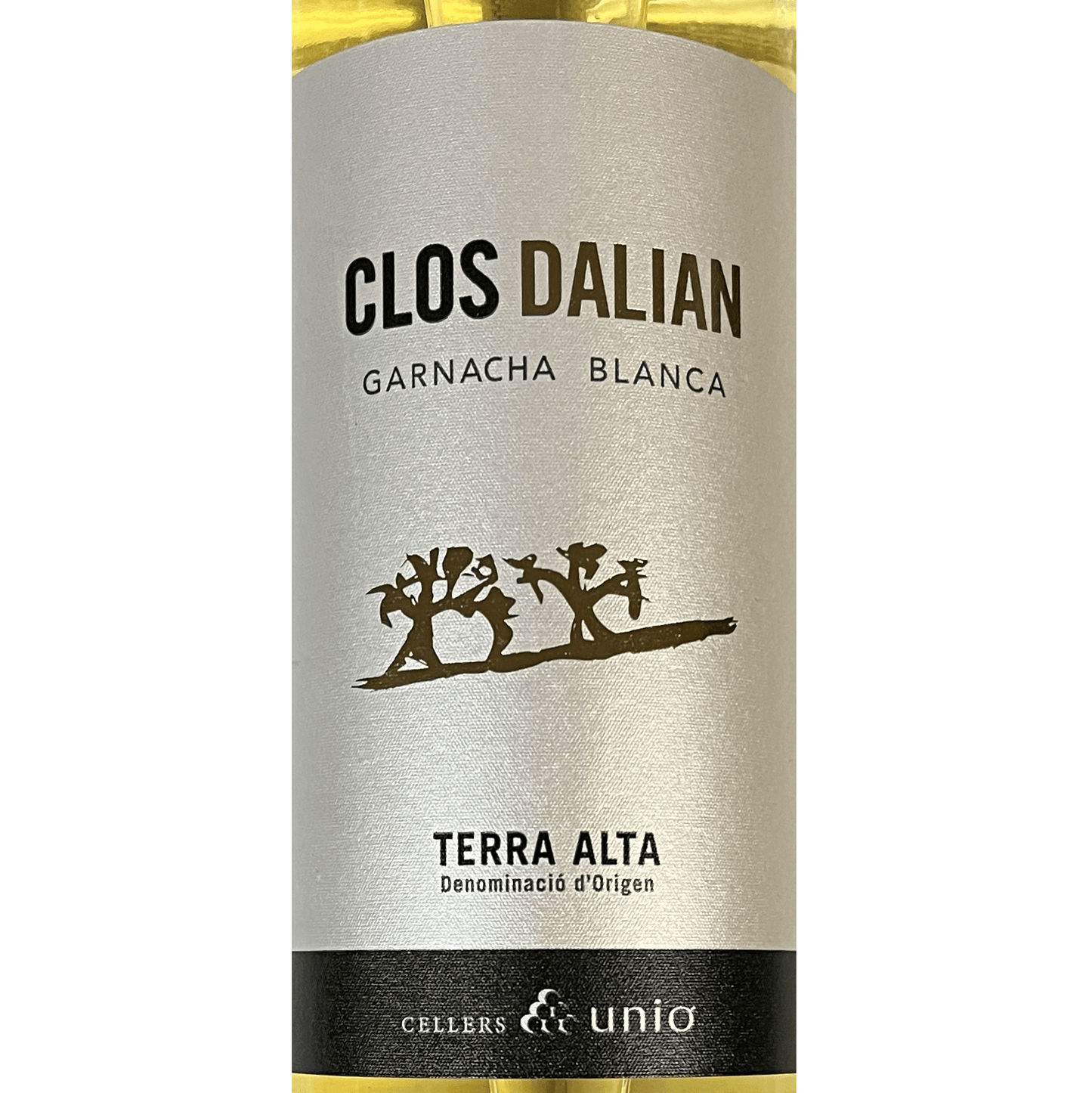 #100 - 2021 Clos Dalian Terra Alta